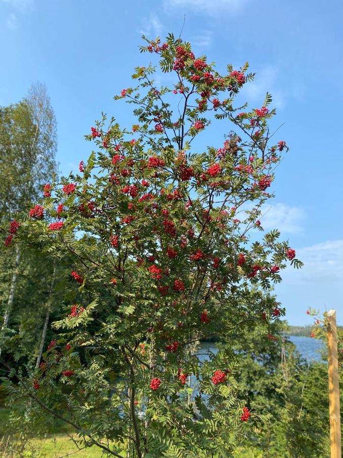 Borgdala Stugor Ödkarby 外观 照片